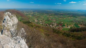 Read more about the article TEST