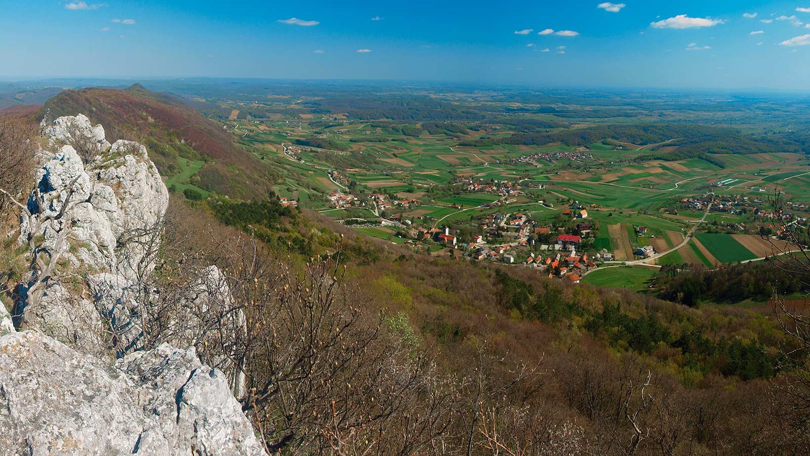 Read more about the article TEST