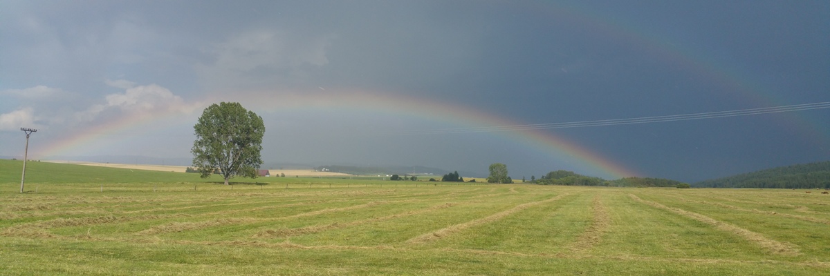 Read more about the article TEST 3